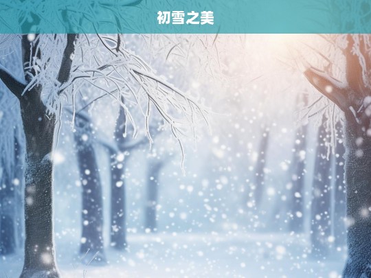 初雪之美，初雪之美