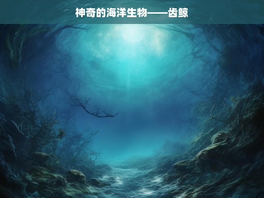 神奇的海洋生物——齿鲸，神奇齿鲸，海洋生物的奥秘