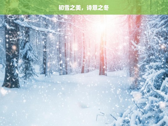 初雪之美，诗意之冬，初雪与诗意之冬