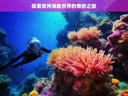 探索常州海底世界的奇妙之旅，常州海底世界奇妙之旅