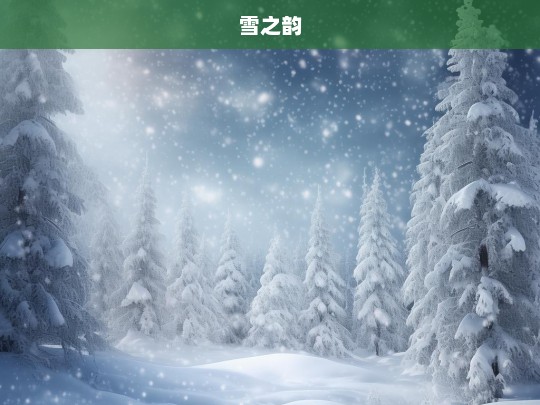 雪之韵，雪之韵