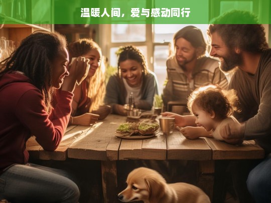 温暖人间，爱与感动同行，爱与感动共筑温暖人间