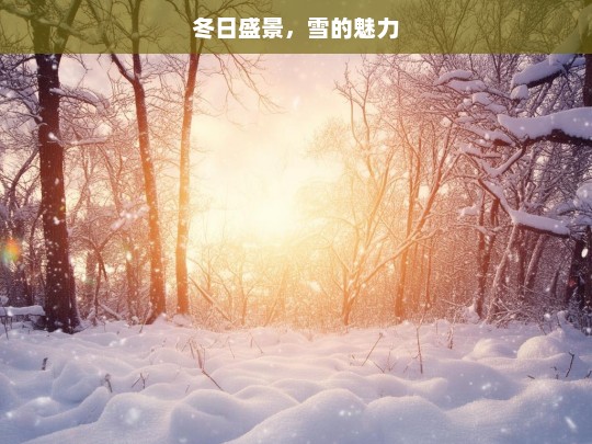 冬日盛景，雪的魅力，冬日雪之盛景与魅力