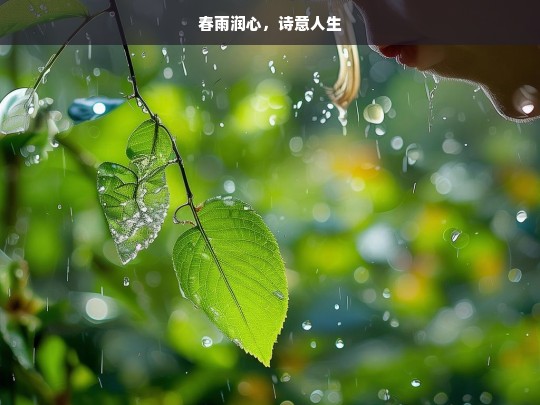 春雨润心，诗意人生，春雨润心与诗意人生