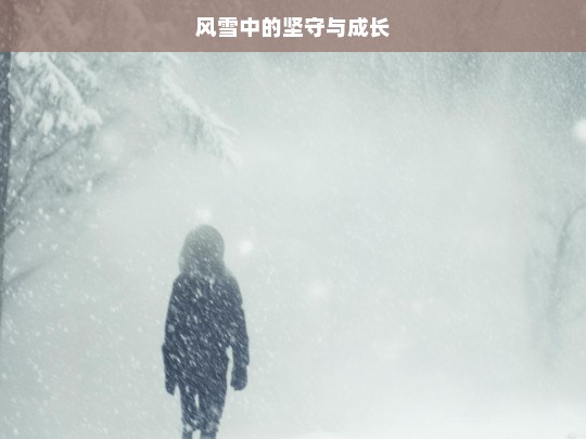 风雪中的坚守与成长，风雪中的坚守与成长之路