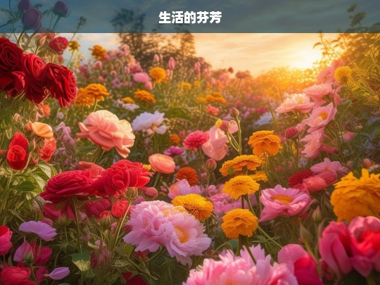 生活的芬芳，生活的芬芳