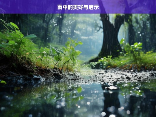 雨中的美好与启示