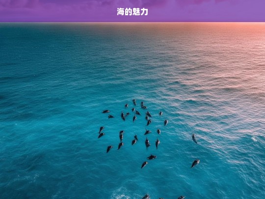 海的魅力，海之魅