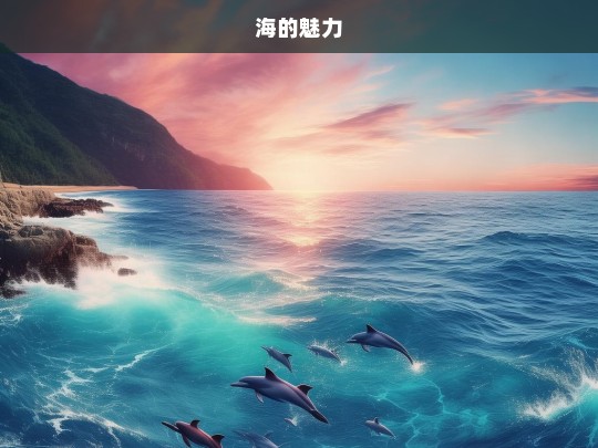 海的魅力