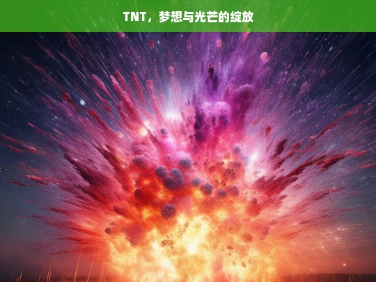 TNT，梦想与光芒的绽放，TNT，梦想与光芒的绽放之旅