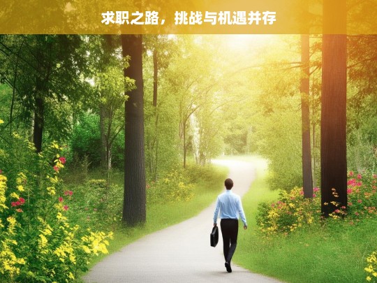 求职之路，挑战与机遇并存