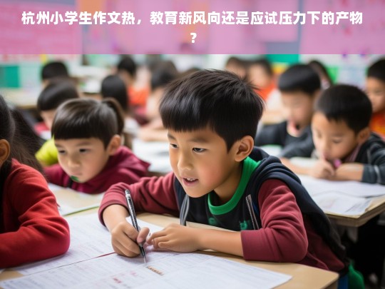 杭州小学生作文热，教育新风向还是应试压力下的产物？