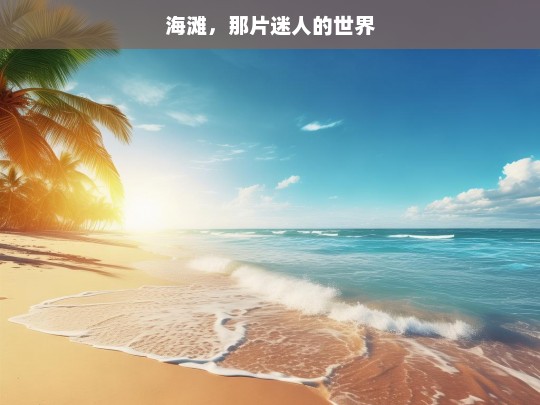 海滩，那片迷人的世界，迷人的海滩世界