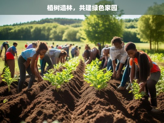 植树造林，携手共建绿色家园