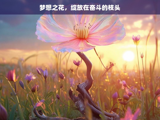 梦想之花，绽放在奋斗的枝头，梦想在奋斗中绽放