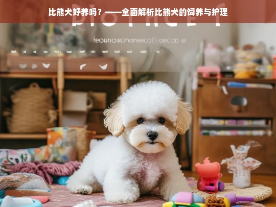 比熊犬好养吗？——全面解析比熊犬的饲养与护理