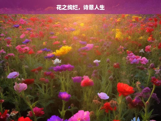 花之绚烂，诗意人生