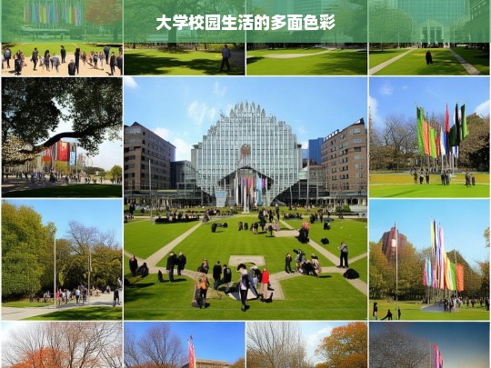 大学校园生活的多面色彩，大学校园生活的多彩画卷