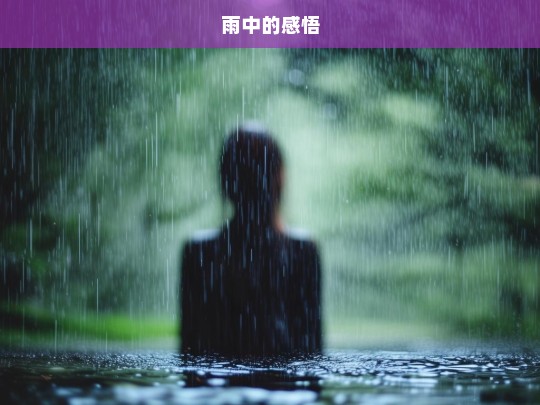 雨中的感悟，雨中悟